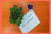 انجمن قصه گویی کانون استان تهران یک ساله شد